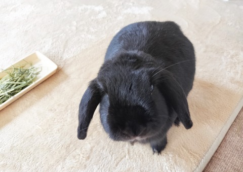 0779B059-1C43-49B5-9E41-DD461A3A7590