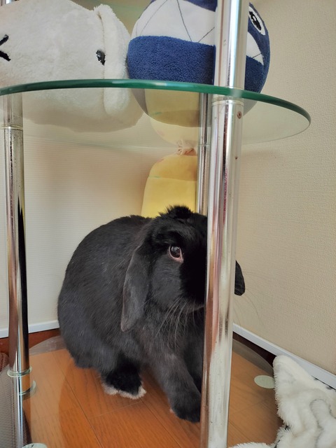 54A6F6D9-A3AE-4502-BE7E-68E7C4DB054B