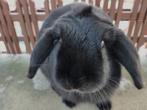 DA1DD323-111F-44EB-B292-B1E76925383D