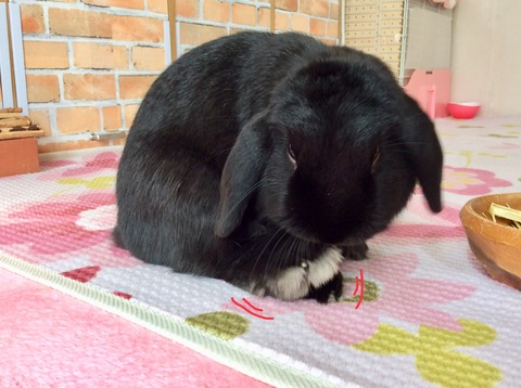 33D745A6-AF2F-4A86-A06A-F2D3F8281CC0