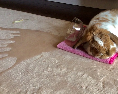 C58787F3-7F86-47ED-A816-0EAB0AE2D619