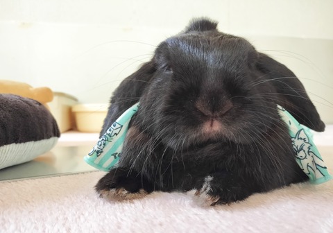 D73139BB-0215-461A-850D-D08A3FB6A367