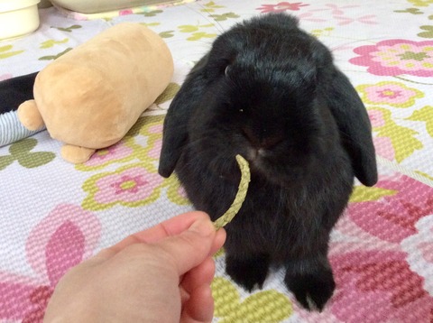 43445E78-525D-4714-8312-6CFDEB0F6592