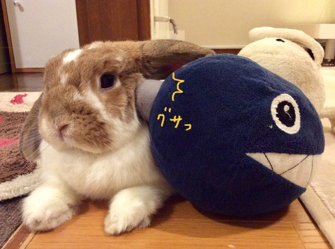 0F53F2FA-85E6-43B0-AC80-3B53A685EC04