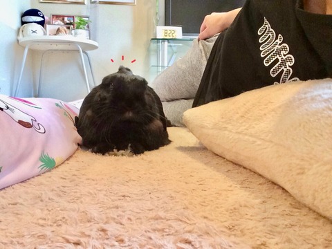 FEEADFC2-135C-4785-9779-5ECBD40BA18E