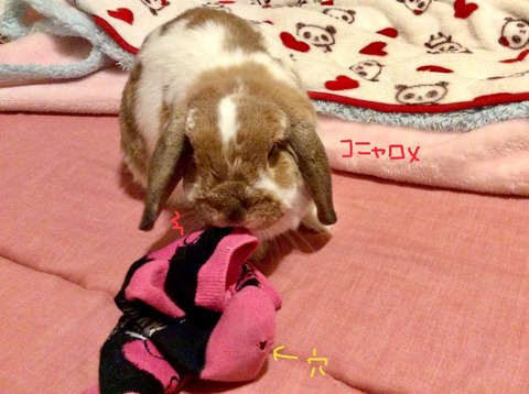 87D42D39-D564-473A-9E28-6F9CF2A8F41B