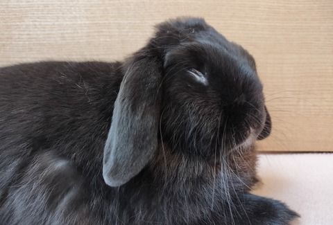 F9A92A5E-2147-4737-8DD7-EBF45B1C3799