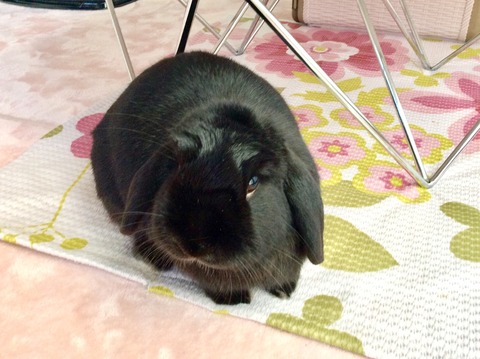 34BC5596-686F-4DB5-BCC3-E9D3947D7FAD