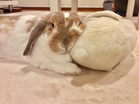 2D942A35-FAA7-477B-B14C-90ED7AAFDE63