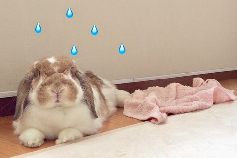 D7840D51-1FBF-4536-A7EE-30D5609C8B92