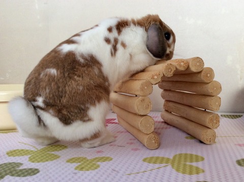 CB47D48F-28C8-443E-BE85-4E7C0CC0C845