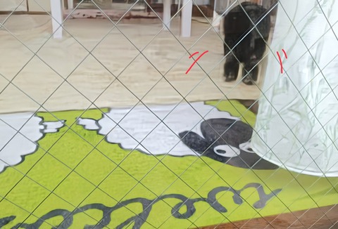 E678D73C-91BE-4428-ACAE-ECCD891EBB42