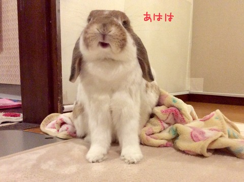 83FA5DEF-AE6E-4B60-815A-C3AE15D4D6F7