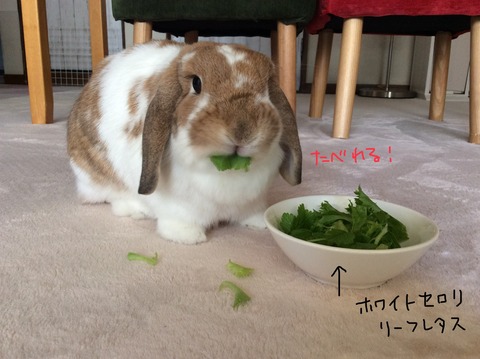 C2C9D9A0-8C6A-44A7-B453-A8E91E0592BB