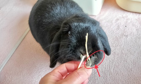 7AB04772-DC67-49A3-A112-F37F23489081