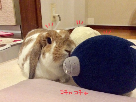 2F741E39-65E5-484A-8B69-0E06B06F672C