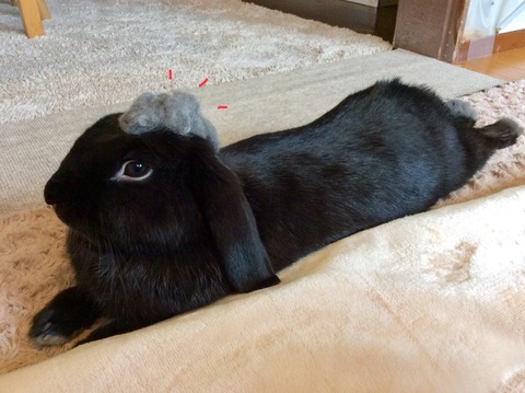 6636B5D6-8B84-4FC4-93B9-5D31BB1D2F06