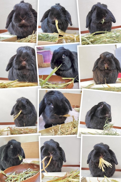 B3F2BF81-3B9A-4914-9A2E-8EB101703D2D