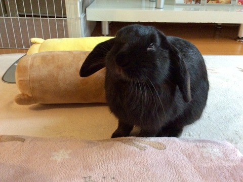 70563638-A668-443D-8AF5-B7B19E27F628