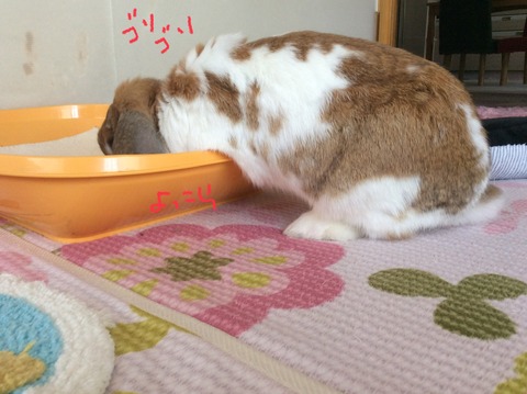 3B104A55-F8A0-4CDC-B365-29CB0FB41C5D