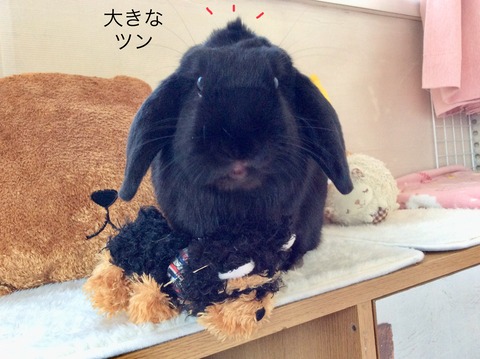 413B4A65-3B03-46BE-BC48-F5789636054A