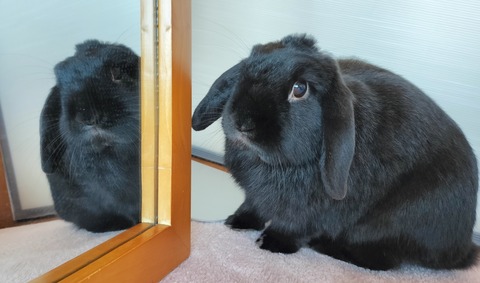 CCC1D7A4-3C66-4D02-A2B8-F5D9E5D759F0