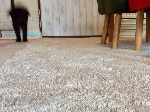 70A3A380-E683-404C-AB32-452484F568A1