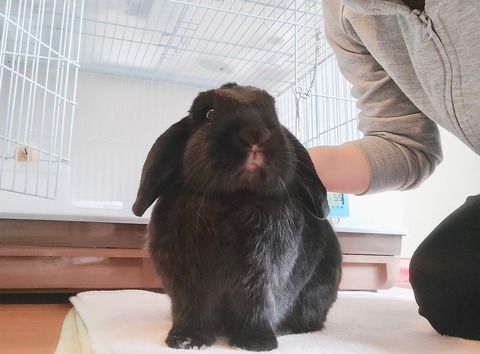 220F054A-D7E1-40F1-B220-4A372398E834