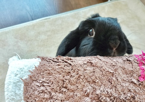 D7307A4F-250E-4B8A-8835-9424D63AB98B