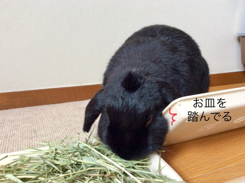 8BB9A5F8-FD55-4163-A2F4-2530243CEA99