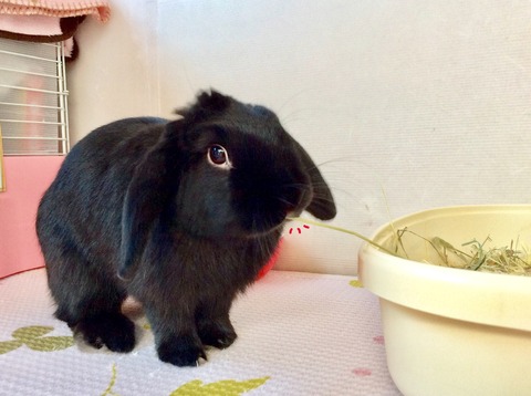 E7443190-FF89-4D37-9886-4FD6DADADA02