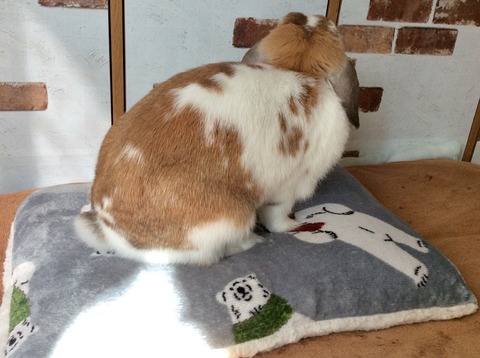 9E19E4E0-B65C-4292-AB23-6FA7F5111DBE