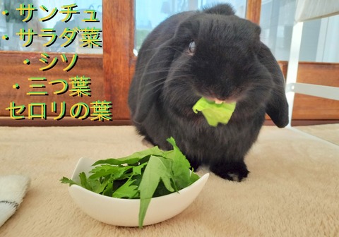 68238743-0F2D-491A-BB39-A51C58F87FDA