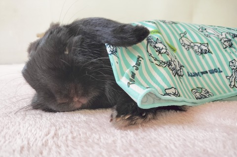 047C7719-E4EE-4850-B4C0-C1572B66DE36