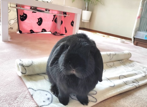 02402147-4A69-492D-97D6-8AF54C2492B0