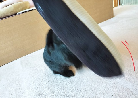 78B8F4ED-4161-4678-9D7B-CE22E04BF71B