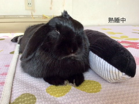 C792F372-B5CB-4DF3-9626-BC15AA52E9A0