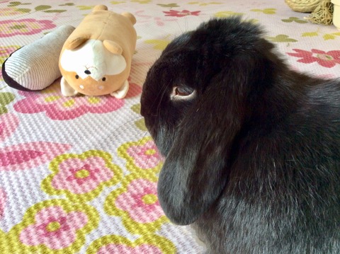 8A4E2147-D9A4-49C3-BA6C-BAB2C4663F8E