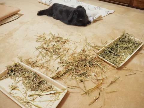 7164CC93-903A-4759-BC6B-4D8BB921E721