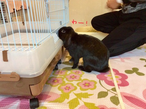 03679450-2342-4A09-8B0E-61E8D62B242B