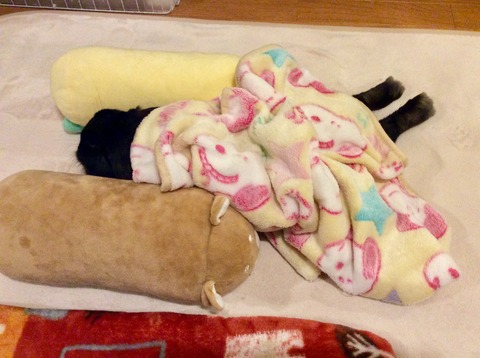 CDB70824-689C-4178-A760-AAC49B577D8A