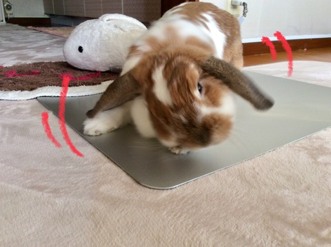 F7FCF9A1-17D9-48A5-AB73-3D56FA3A893E