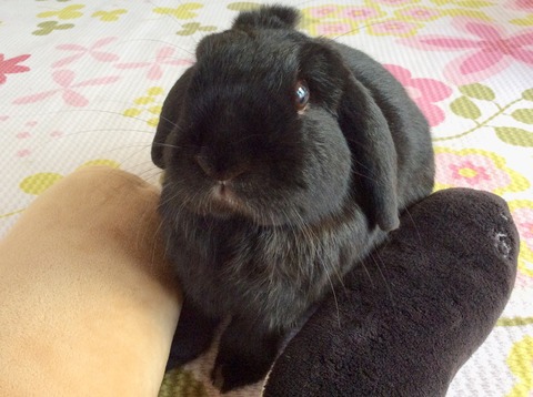 3BD2A316-F38D-44F0-86D7-AEF4C7B5ED77