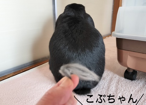 D8714C30-20CB-4C15-8F40-6703EED99D7E