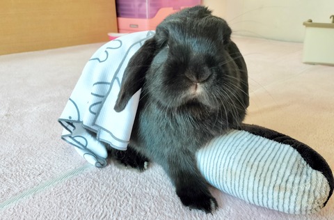 BC32668D-60E9-45D2-B70E-31420C029A44