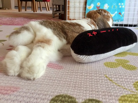 257F0F86-01B4-4037-A00E-89543A861103