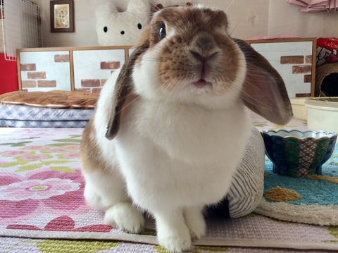 CA939AF0-75C5-44C7-9F1D-1DA872FC6516