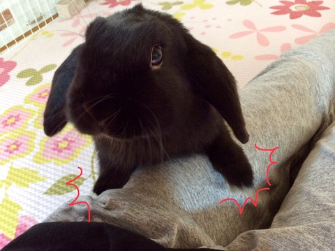 F7B9A940-1973-40DA-A009-D41D8A47D50F