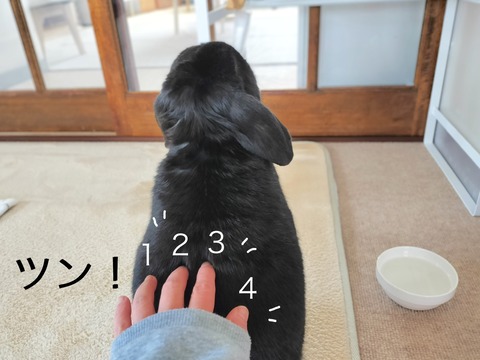 A542C6DF-73F0-4512-9E1C-A12CC1A4CB86