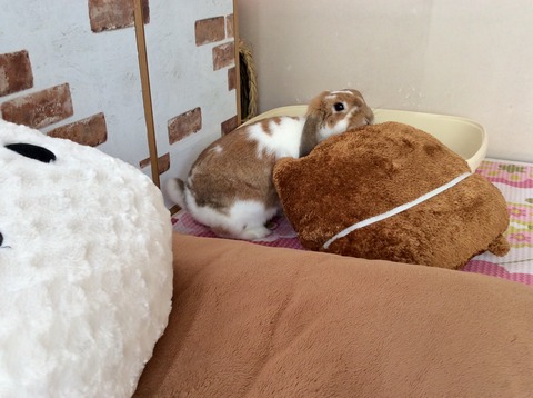 2D71F971-AC32-496B-AA08-3AF935EF7DFF